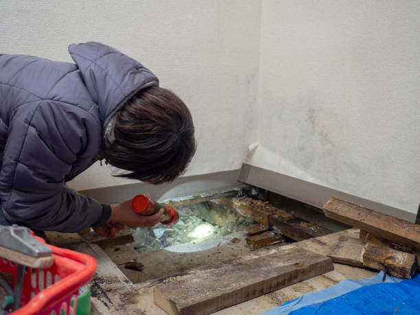 Best HVAC Mold Inspection and Cleaning  in Mastic Beach, NY