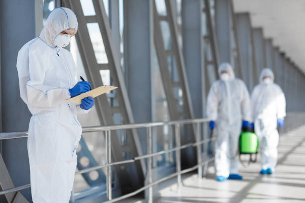  Mastic Beach, NY Mold Removal Pros