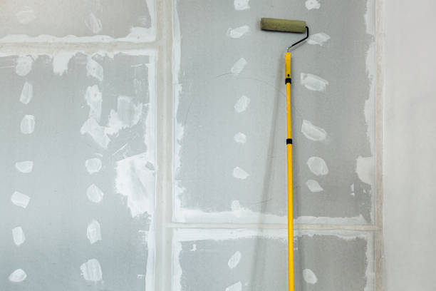 Forensic Mold Investigation in Mastic Beach, NY