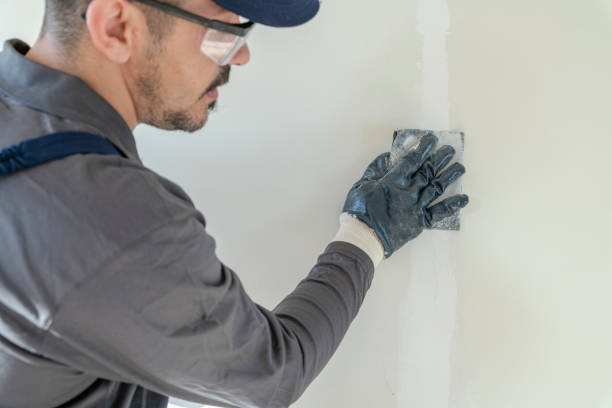 Best Emergency Mold Remediation  in Mastic Beach, NY