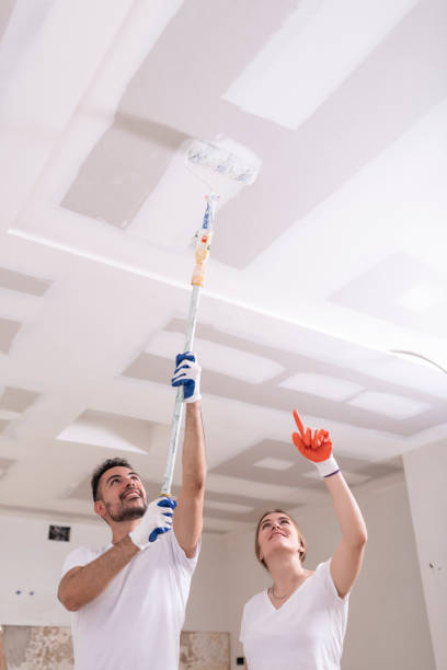 Best Basement Mold Removal  in Mastic Beach, NY