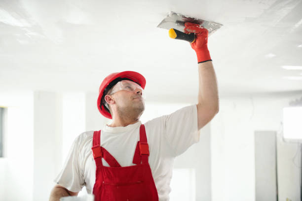 Best Dehumidification Services  in Mastic Beach, NY